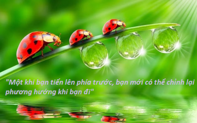 Đừng mong đợi cỗ xe bí ngô nào đó sẽ đỗ trước cổng nhà đợi bạn - vì trông đẹp vậy thôi, chứ xe bí ngô có lẽ cũng xóc lắm!
